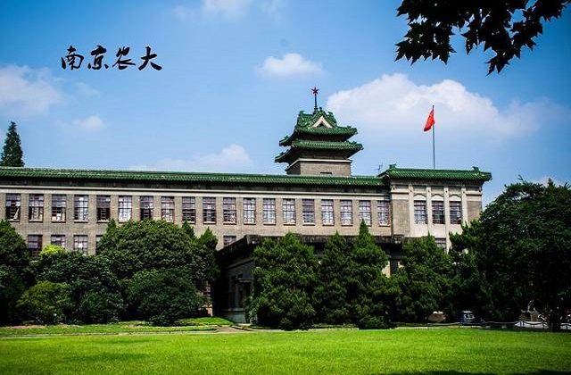 南京农业大学2022年MBA学费和奖学金汇总